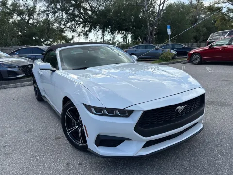 More photos of 2024 Ford Mustang EcoBoost at Evo Motors, FL