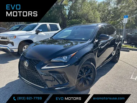 Silver 2018 Lexus NX 300 F Sport for sale in Seffner, FL