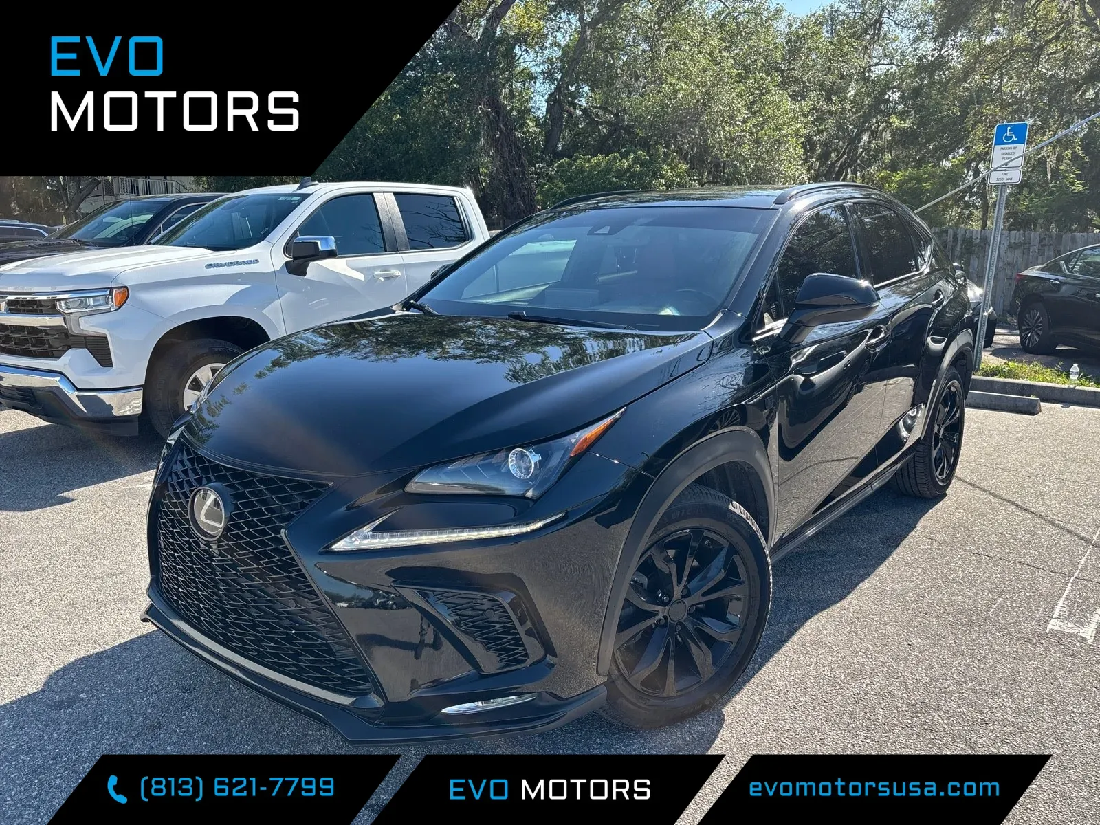 Silver 2018 Lexus NX 300 F Sport for sale in Seffner, FL
