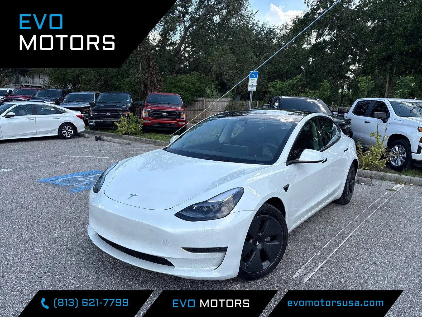 2023 Tesla Model 3 -'s photo