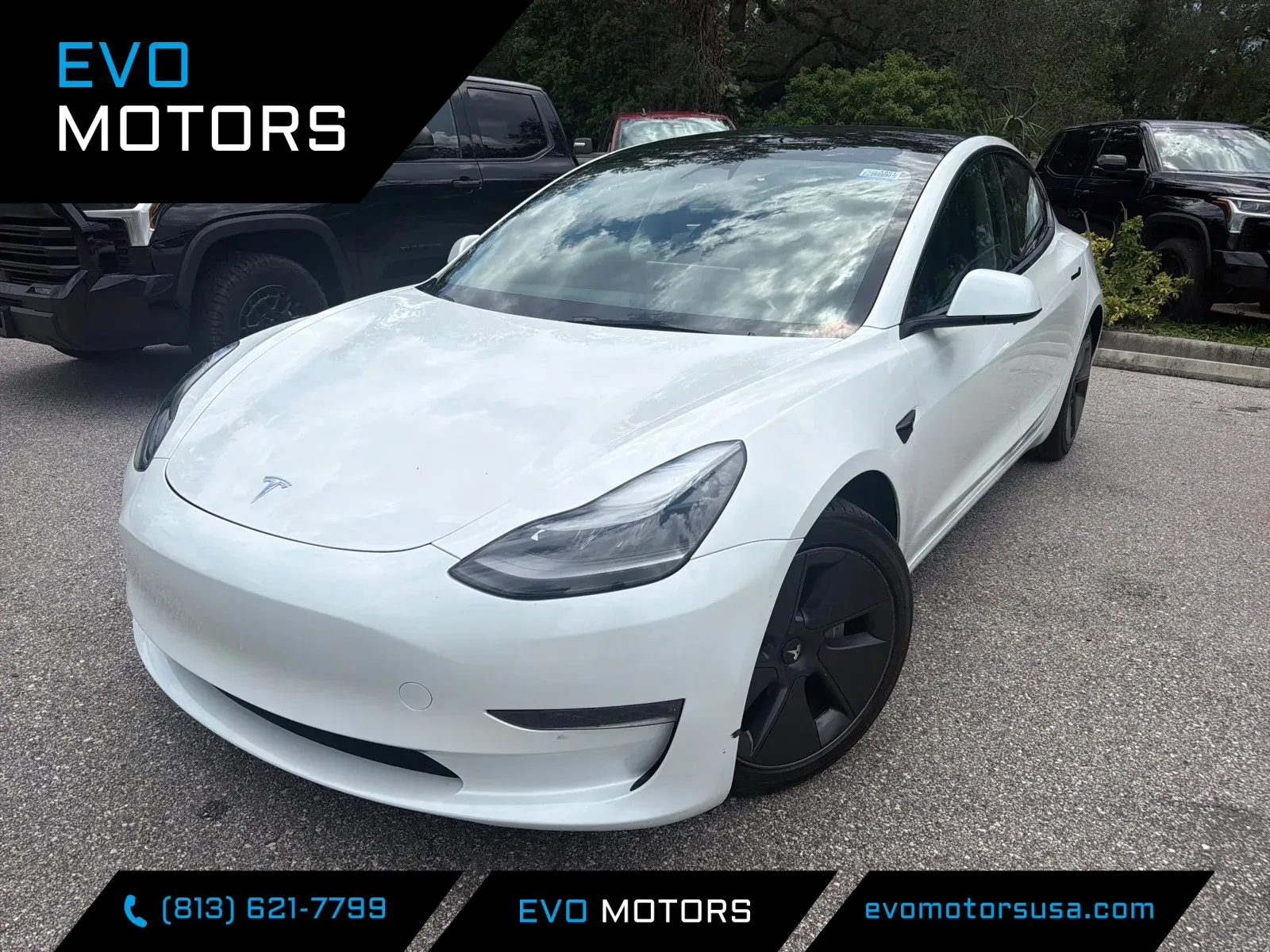 2023 Tesla Model 3 for sale in Seffner, FL