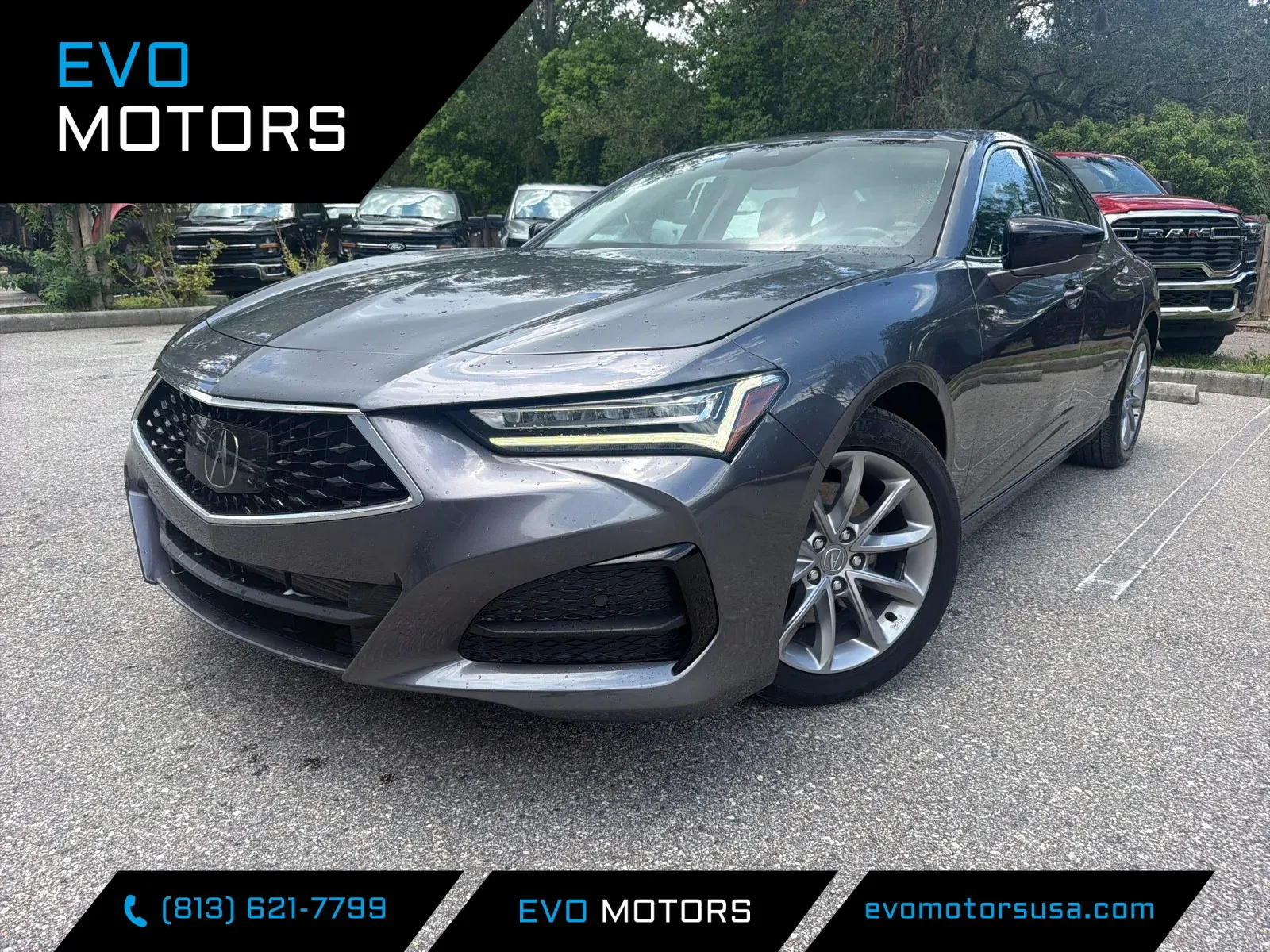 Gray 2023 Acura TLX for sale in Seffner, FL