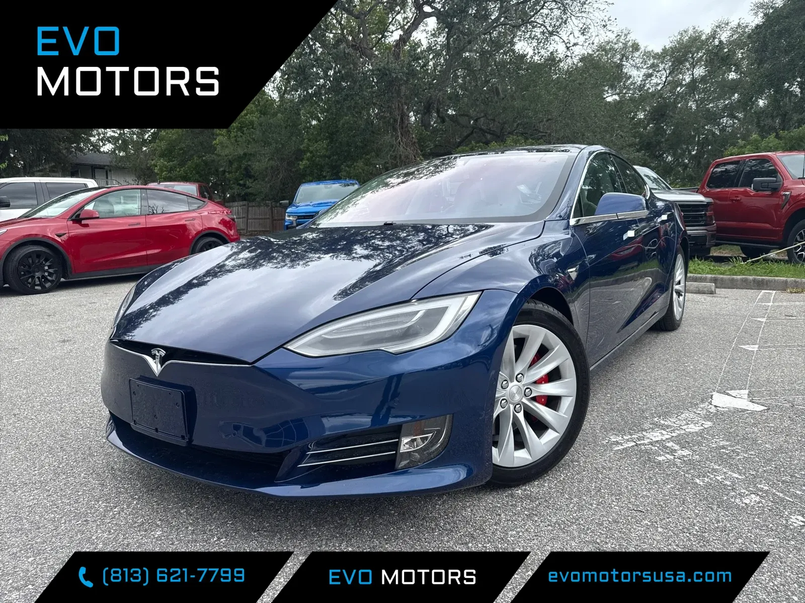 2019 Tesla Model S Performance's photo