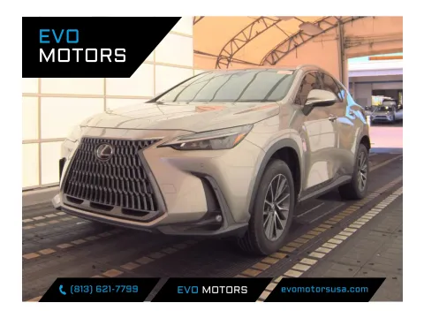 Silver 2024 Lexus NX 250 Premium for sale in Seffner, FL