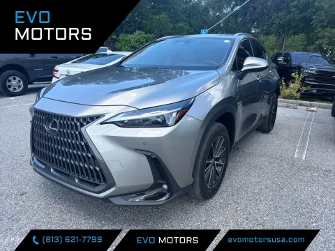 Silver 2024 Lexus NX 250 Premium for sale in Seffner, FL