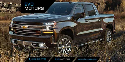2021 Chevrolet Silverado 1500 Custom Trail Boss for sale in Seffner, FL