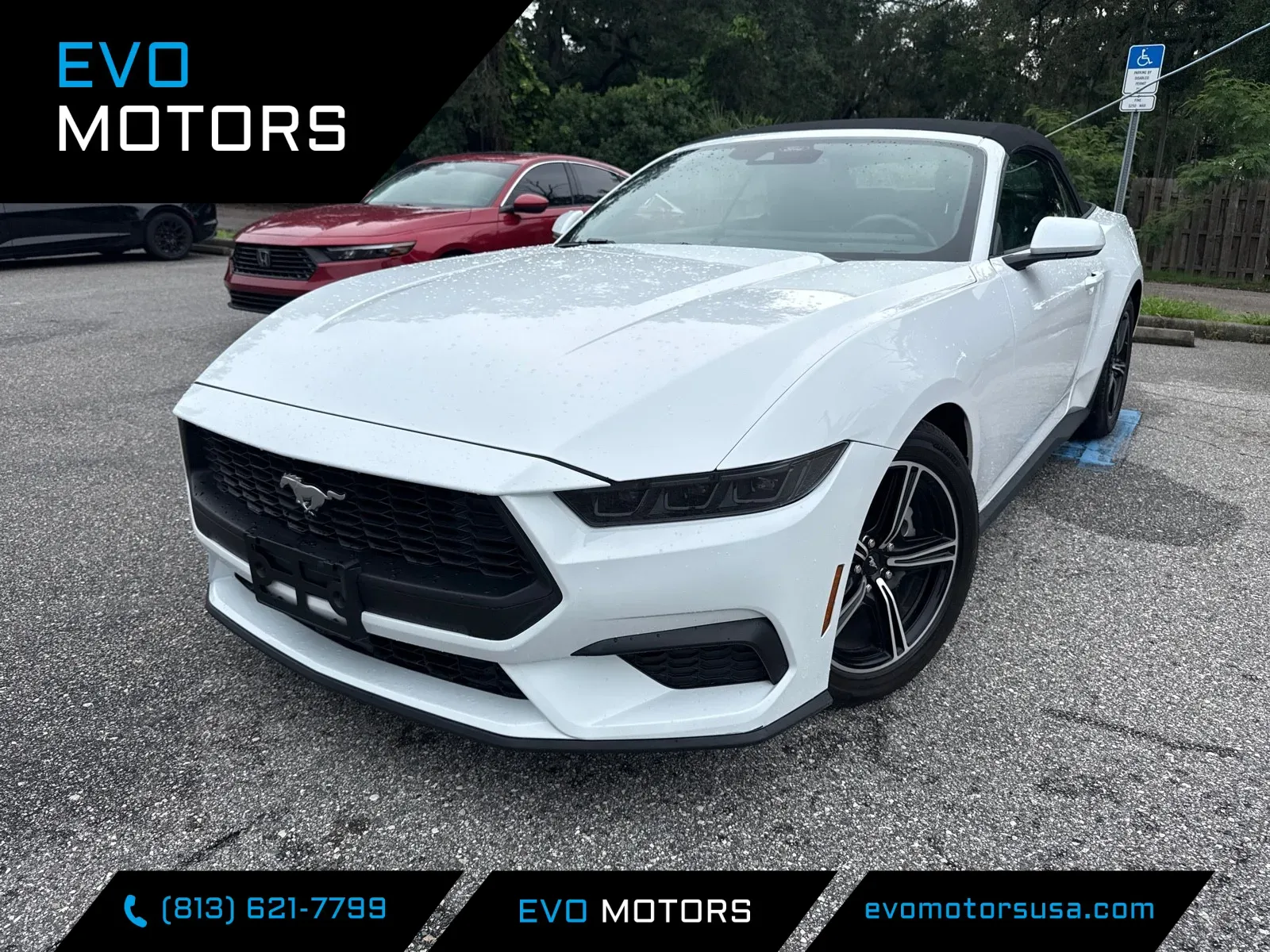 2025 Ford Mustang EcoBoost Premium CONVERTIBLE for sale in Seffner, FL
