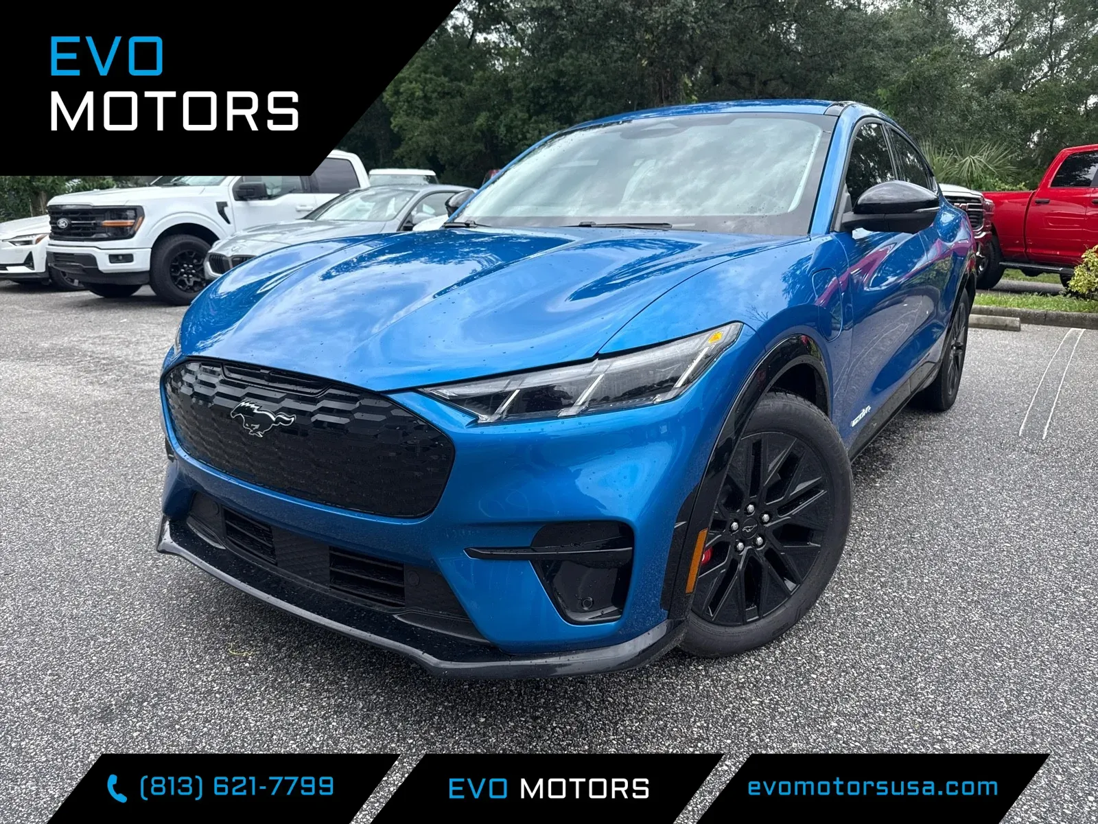 Blue 2025 Ford Mustang Mach-E Premium Extended Battery w/SPORT APPEARANCE PKG. for sale in Seffner, FL