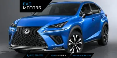 2018 Lexus NX 300 for sale in Seffner, FL