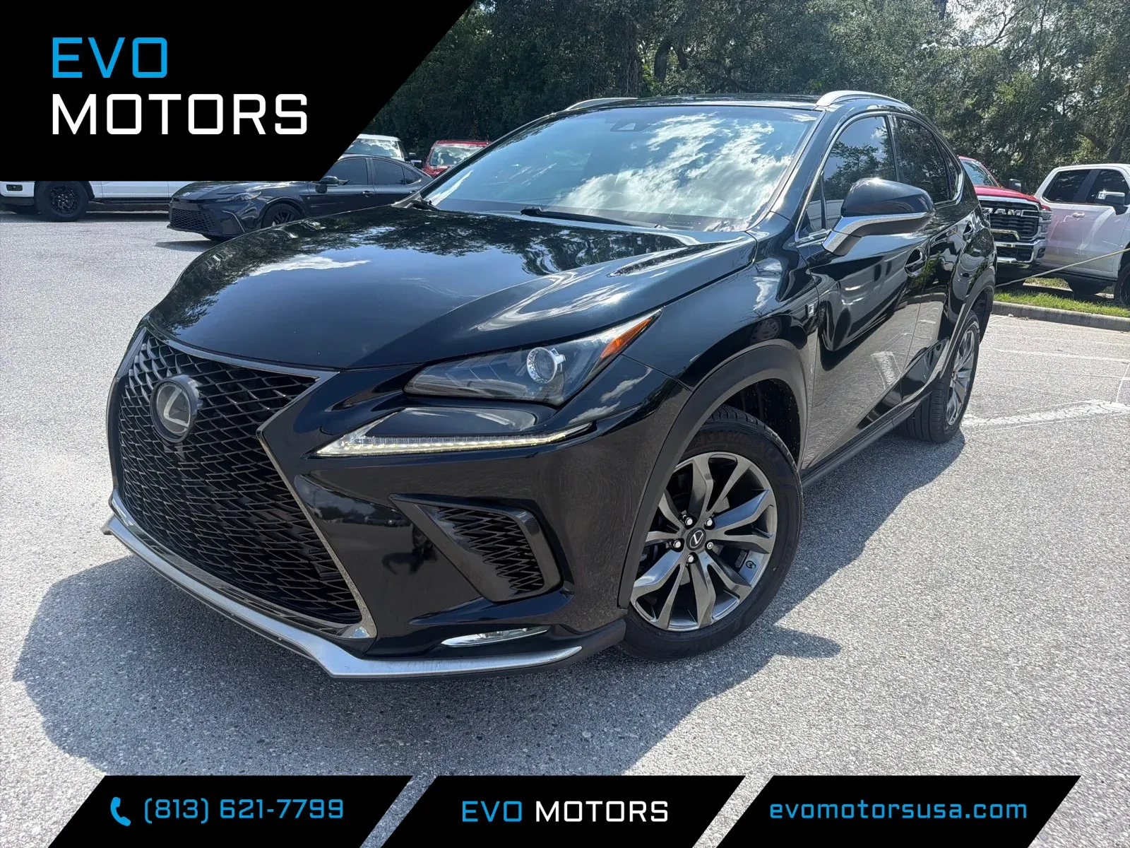 2018 Lexus NX 300 for sale in Seffner, FL