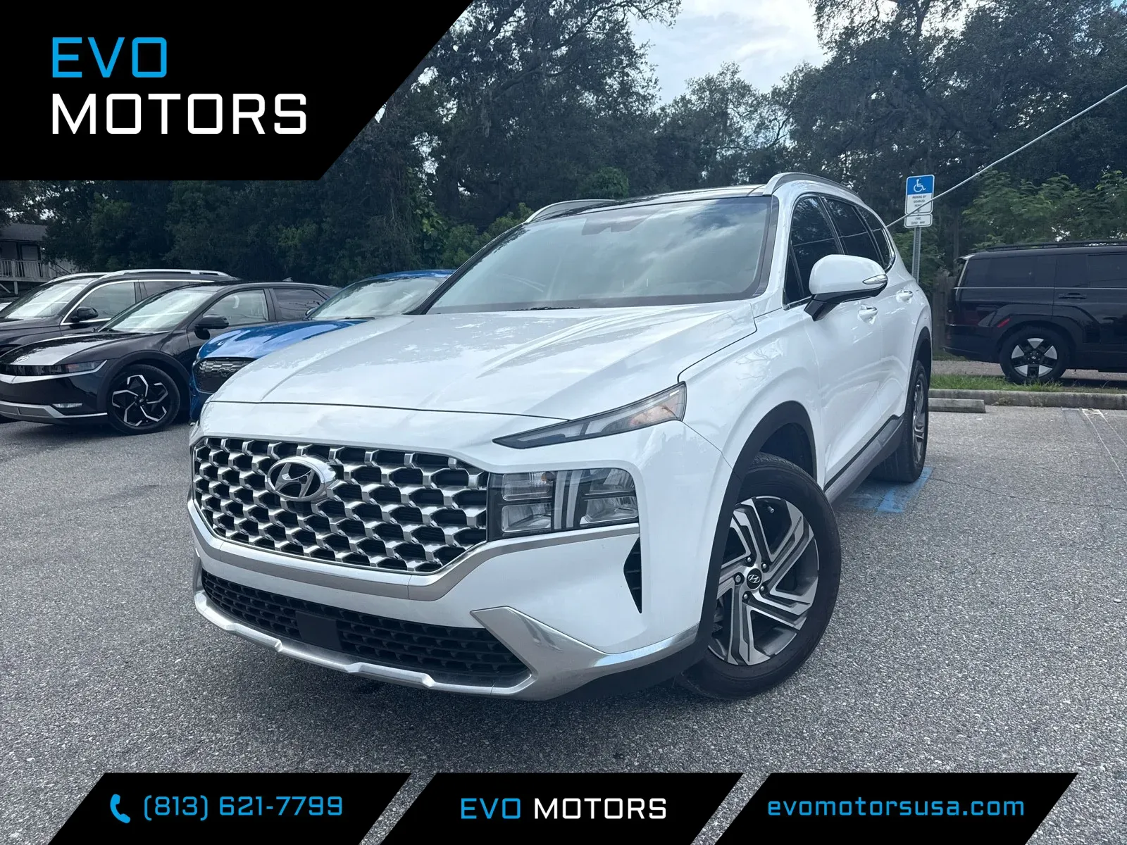 Unknown 2023 Hyundai Santa Fe SEL for sale in Seffner, FL