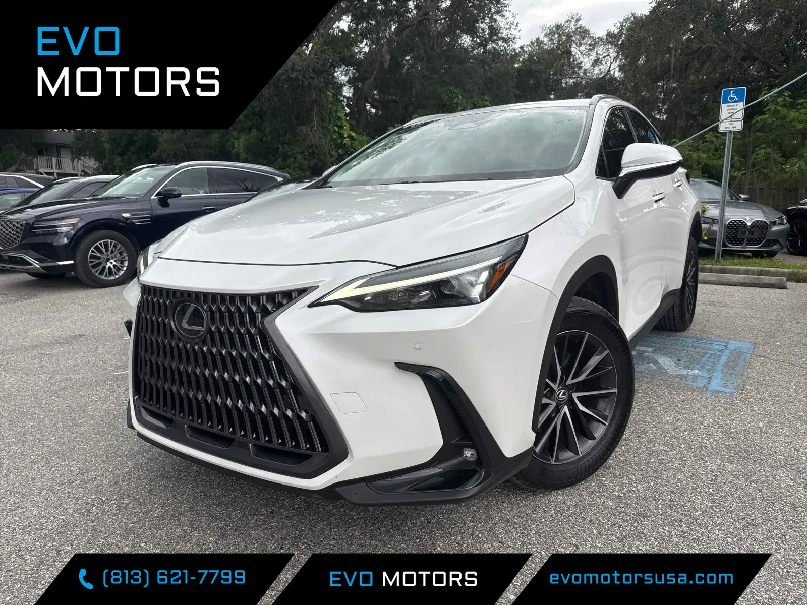 White 2024 Lexus NX 250 Premium for sale in Seffner, FL