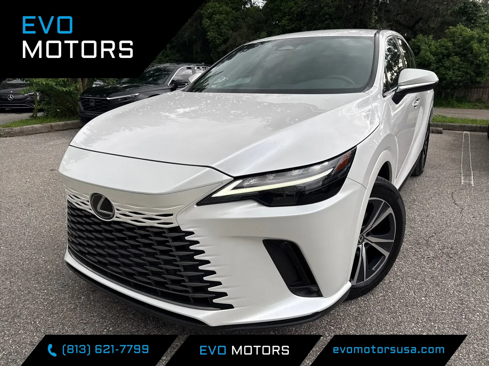 2025 Lexus RX