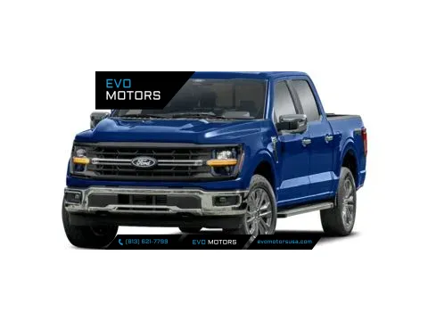 Gray 2024 Ford F-150 XLT for sale in Seffner, FL
