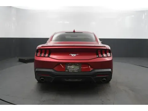 More photos of 2024 Ford Mustang EcoBoost Premium Coupe 2D at Crazy Cars Hillside, NJ
