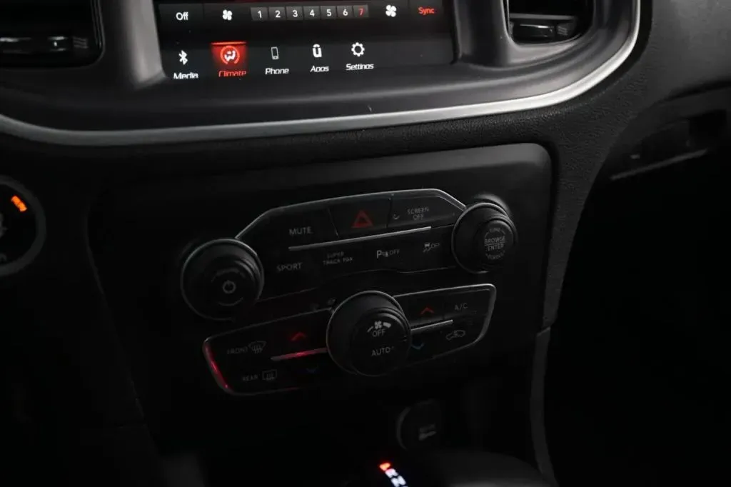 Dodge Charger photo 29