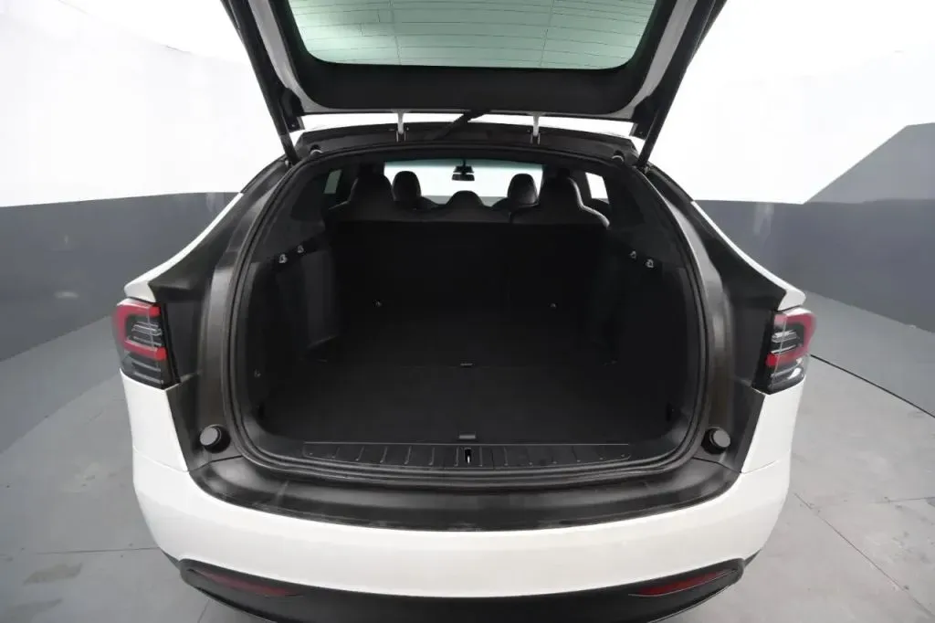 Tesla Model X photo 44
