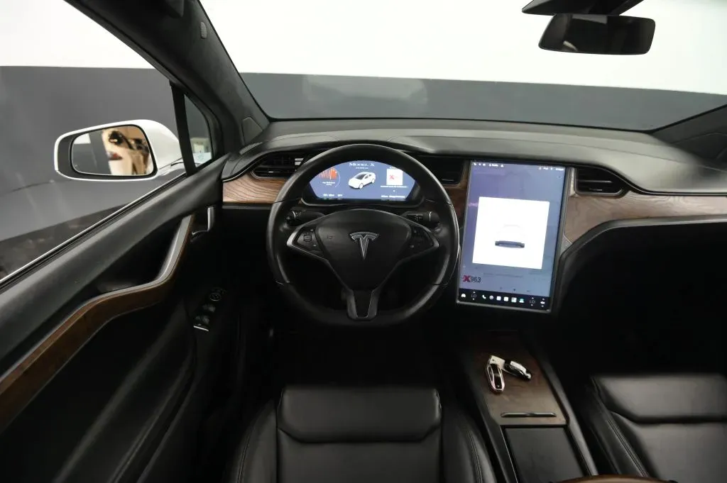 Tesla Model X photo 31