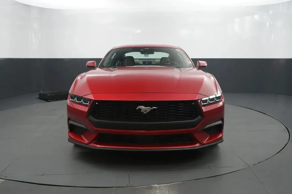 Ford Mustang photo 8