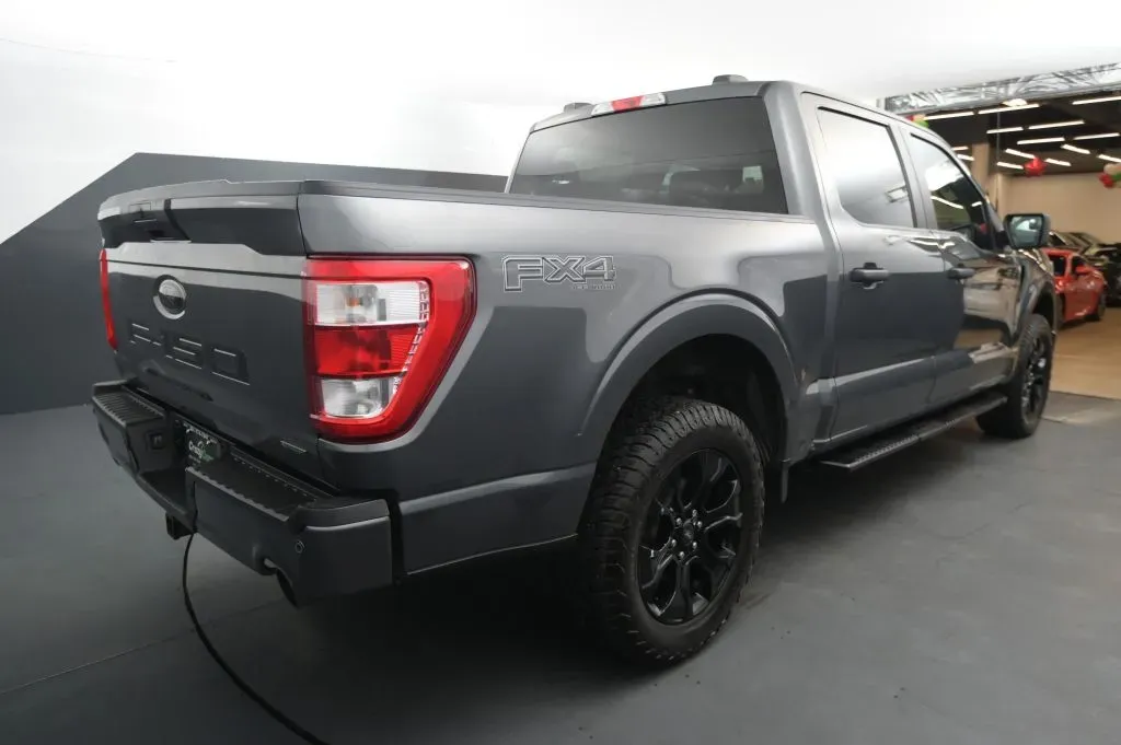 Ford F-150 photo 5