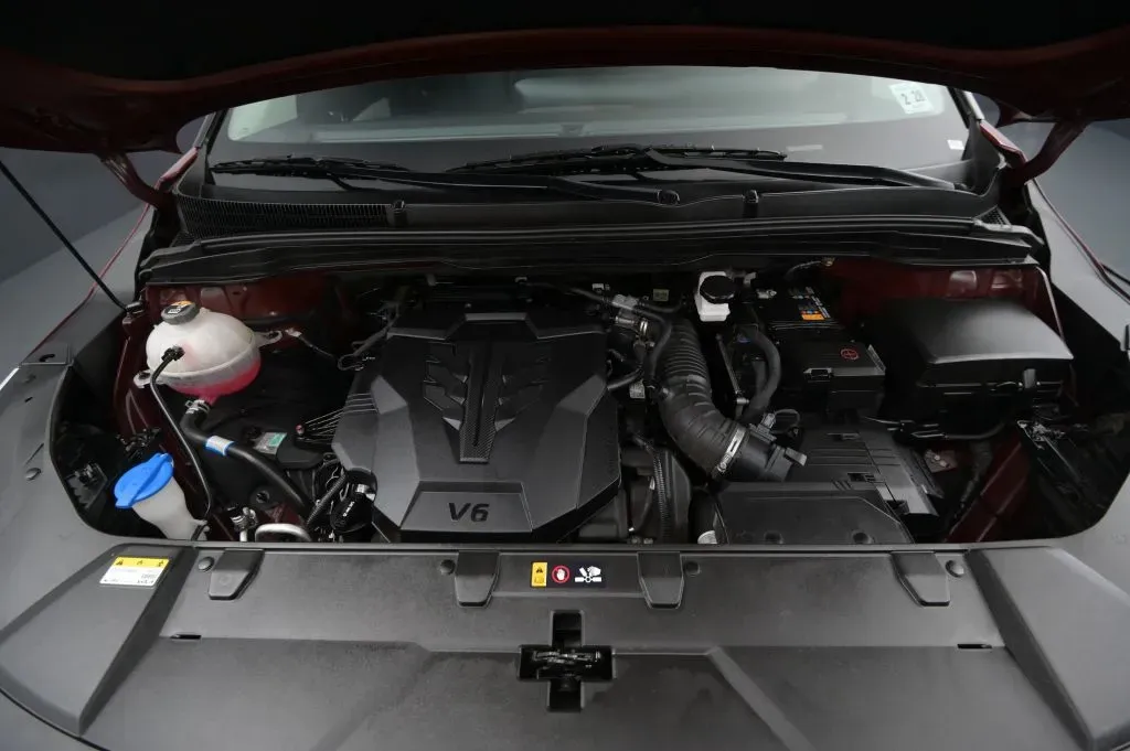 Kia Carnival photo 19