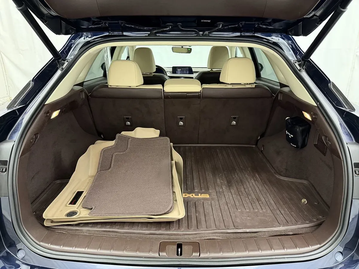 Lexus RX photo 31