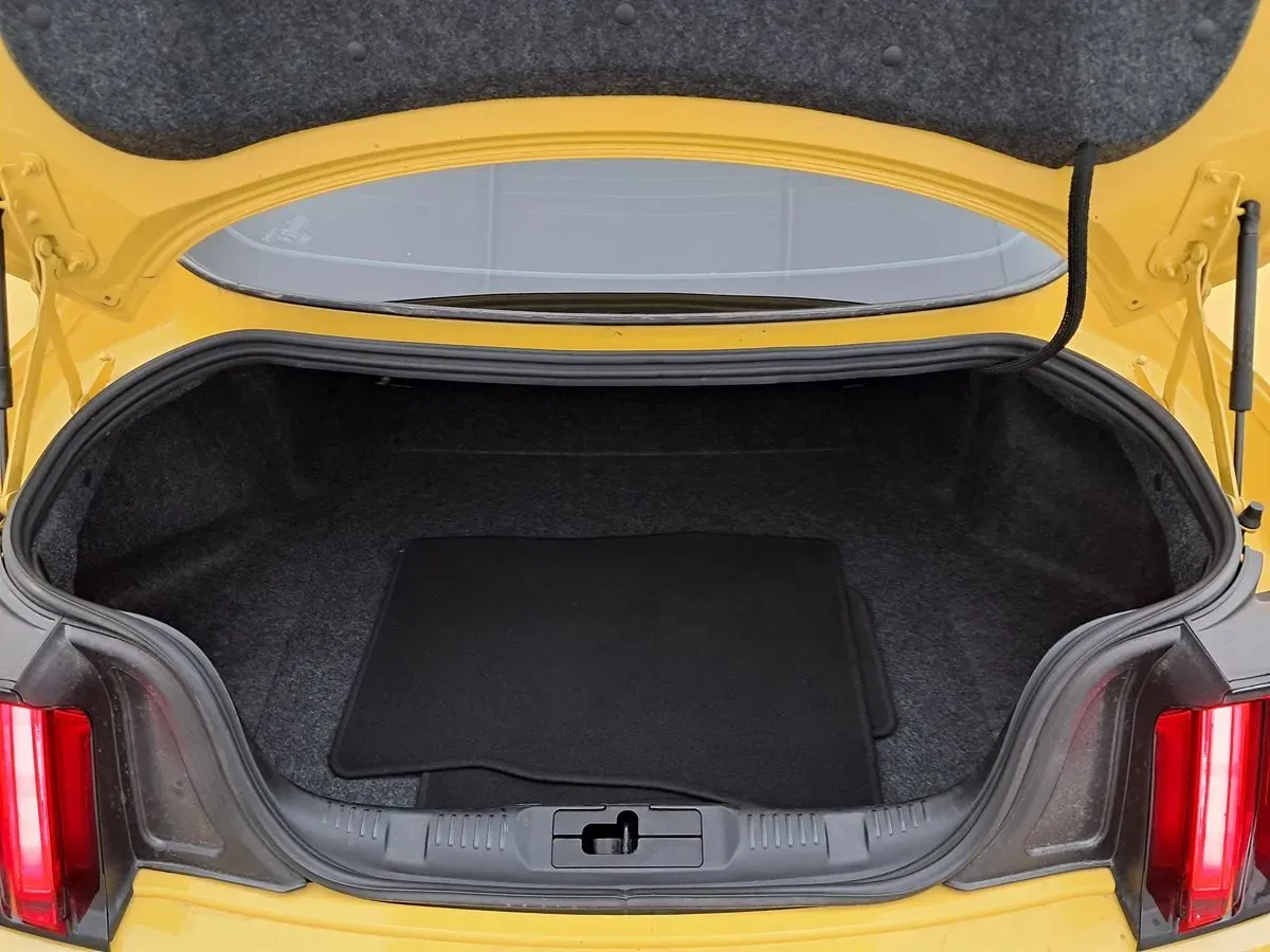 2016 Ford Mustang Shelby GT350 - Photo 35