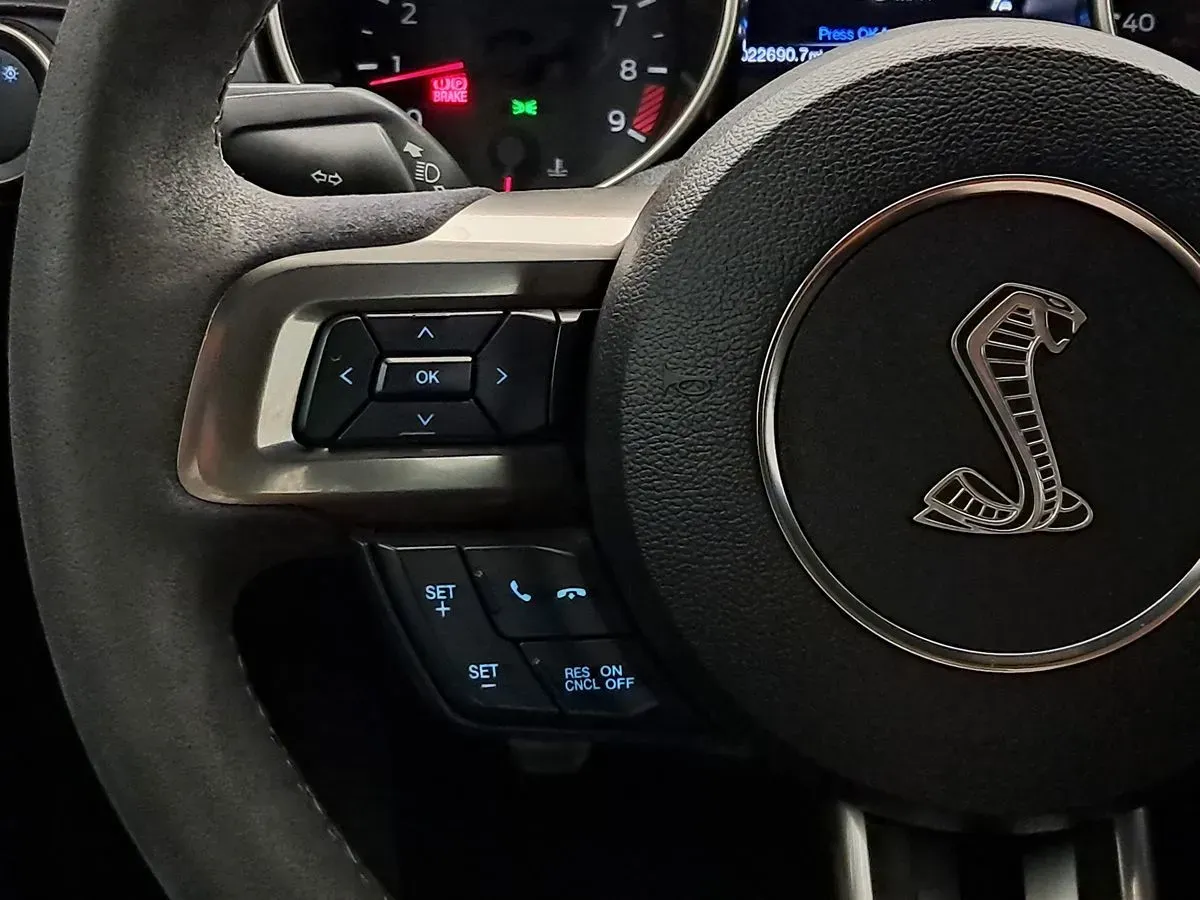 2016 Ford Mustang Shelby GT350 - Photo 10