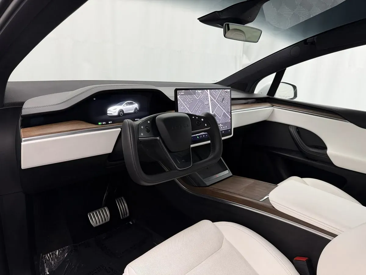 Tesla Model X photo 10