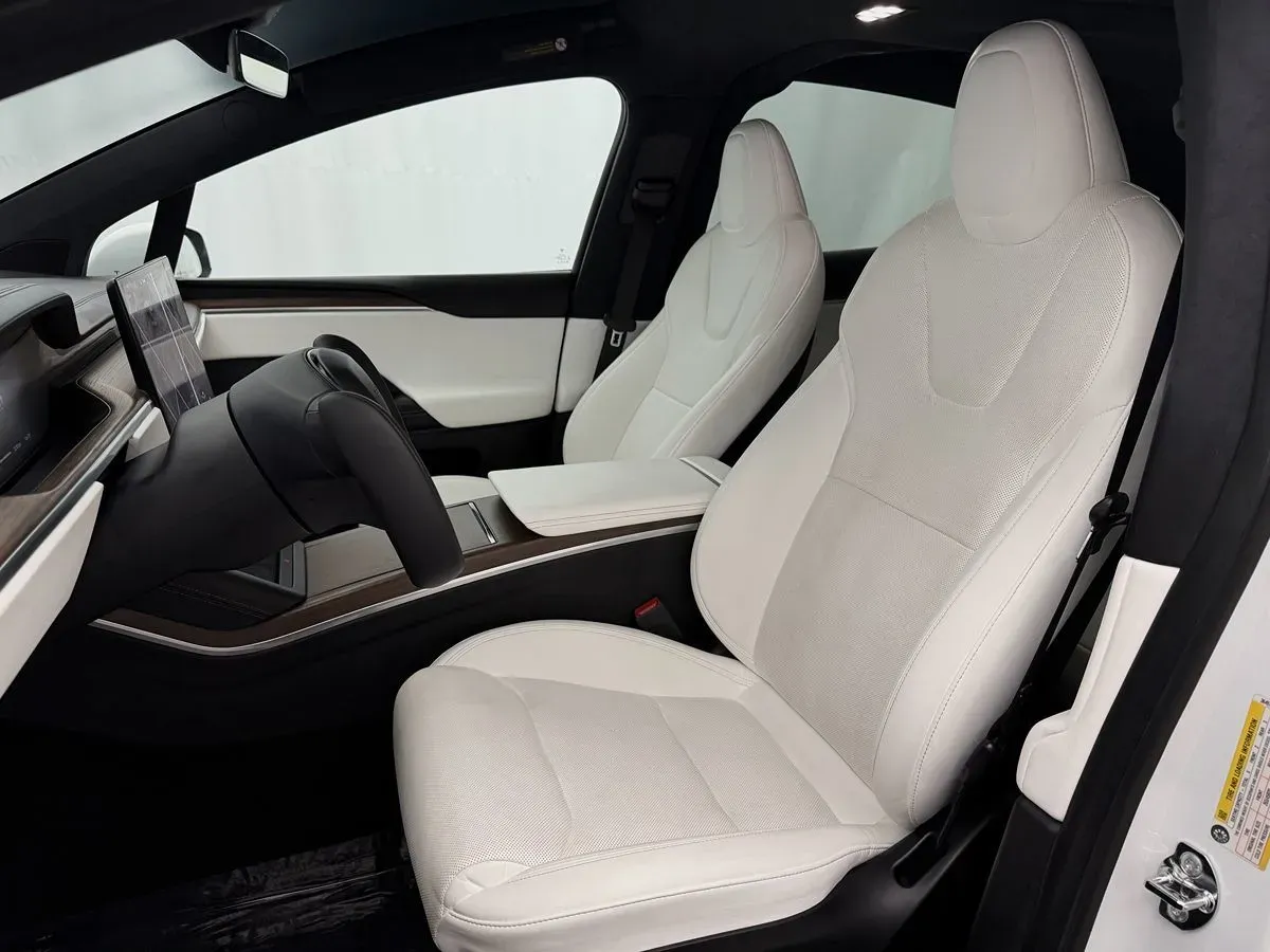 Tesla Model X photo 11