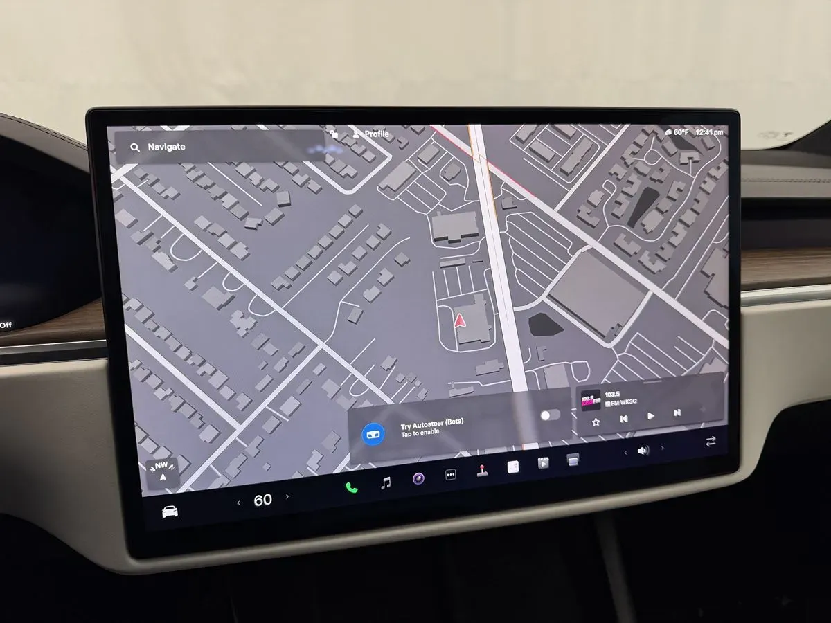 Tesla Model X photo 19