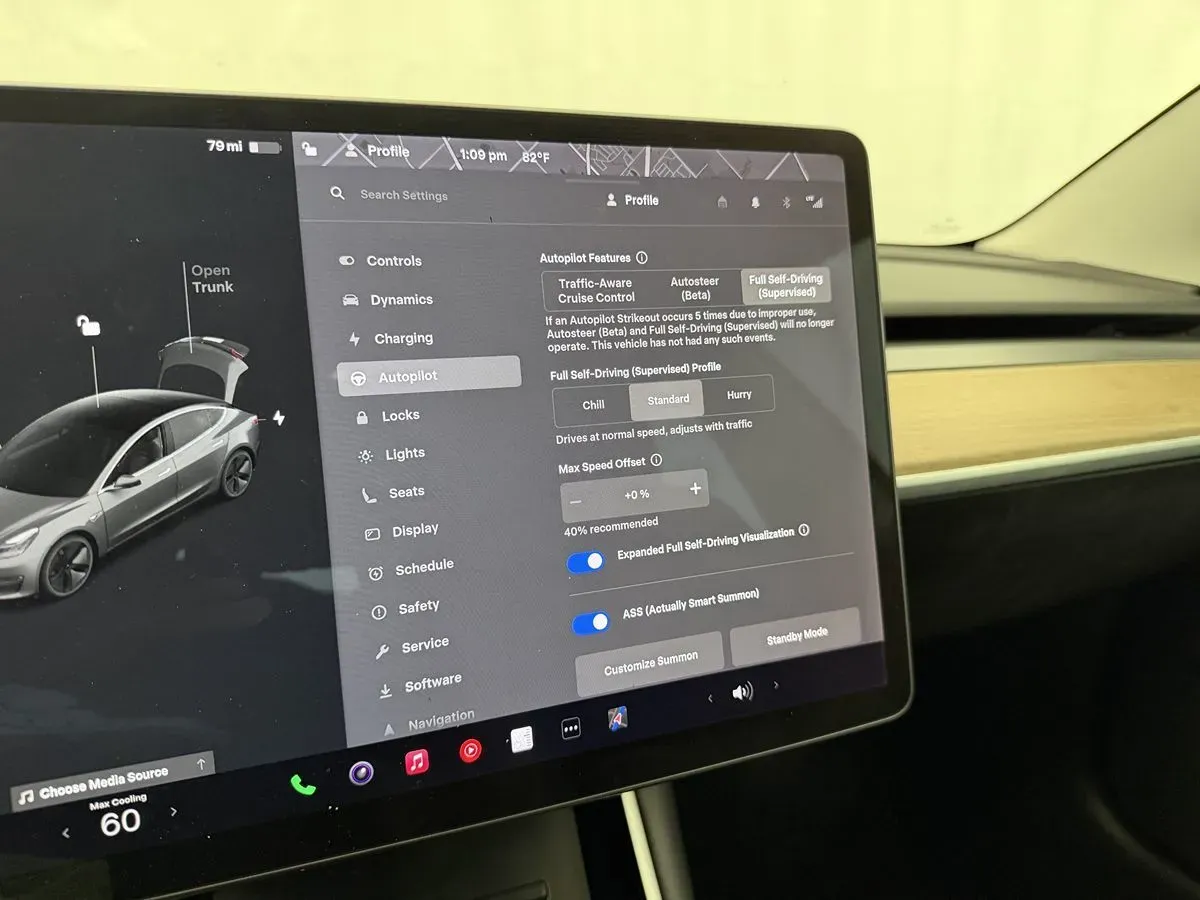 Tesla Model 3 photo 18