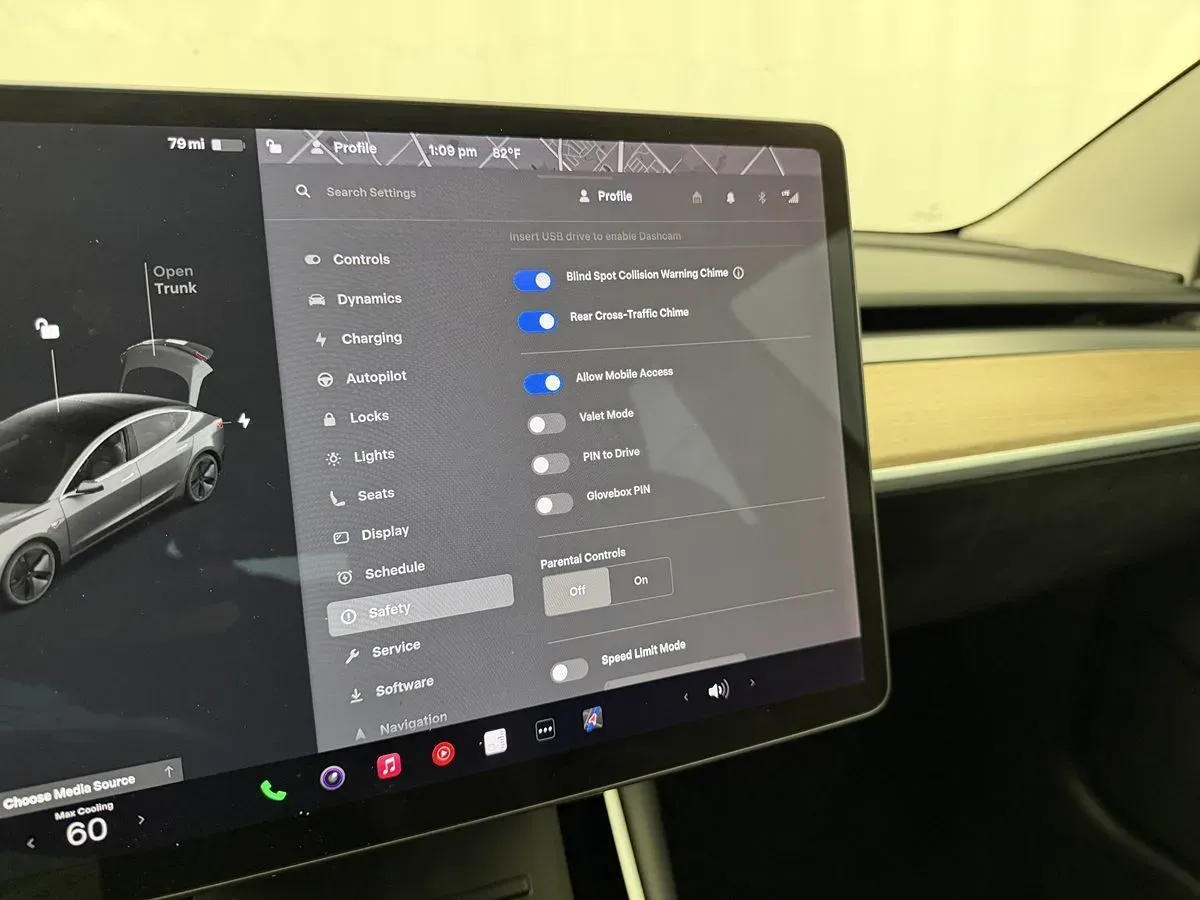 Tesla Model 3 photo 20