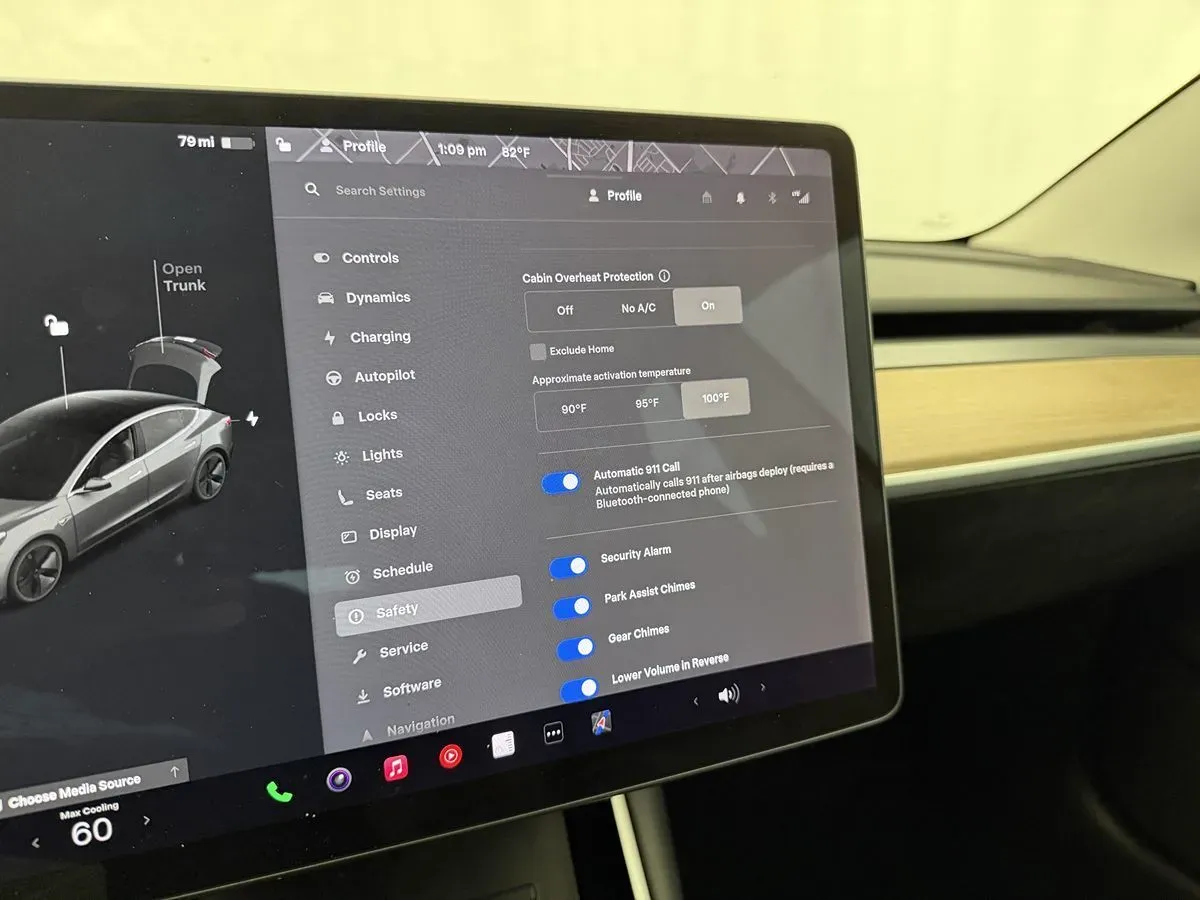 Tesla Model 3 photo 21