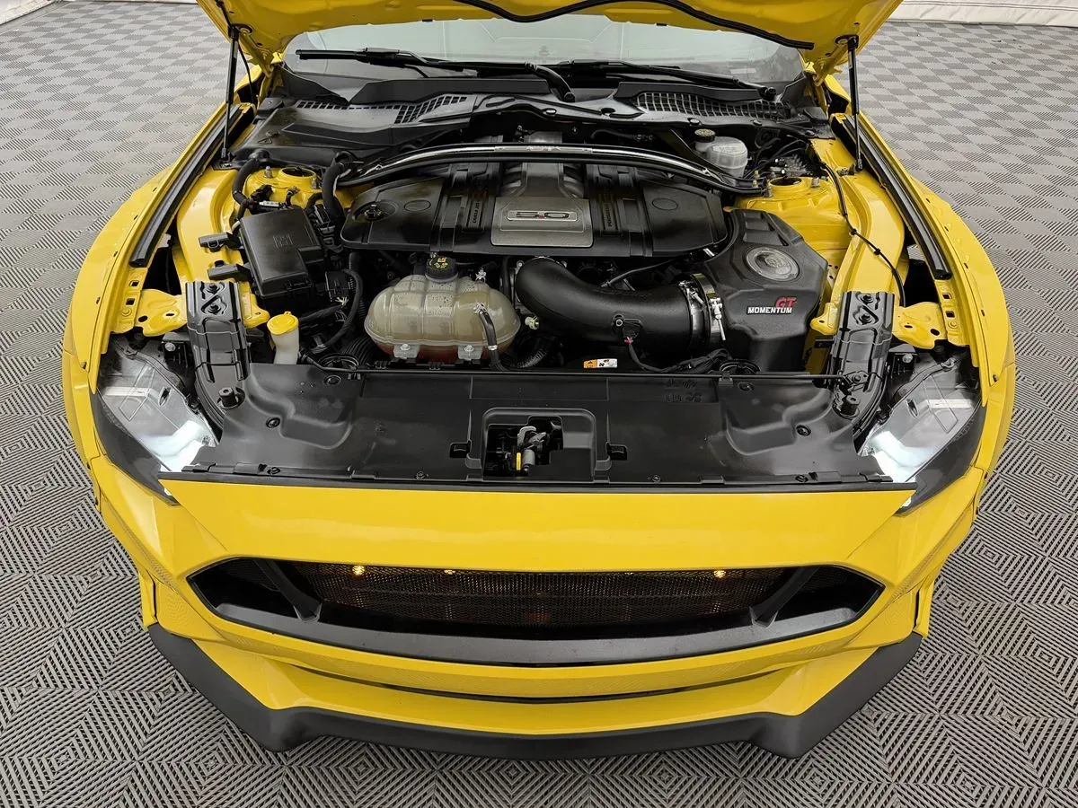Ford Mustang photo 37