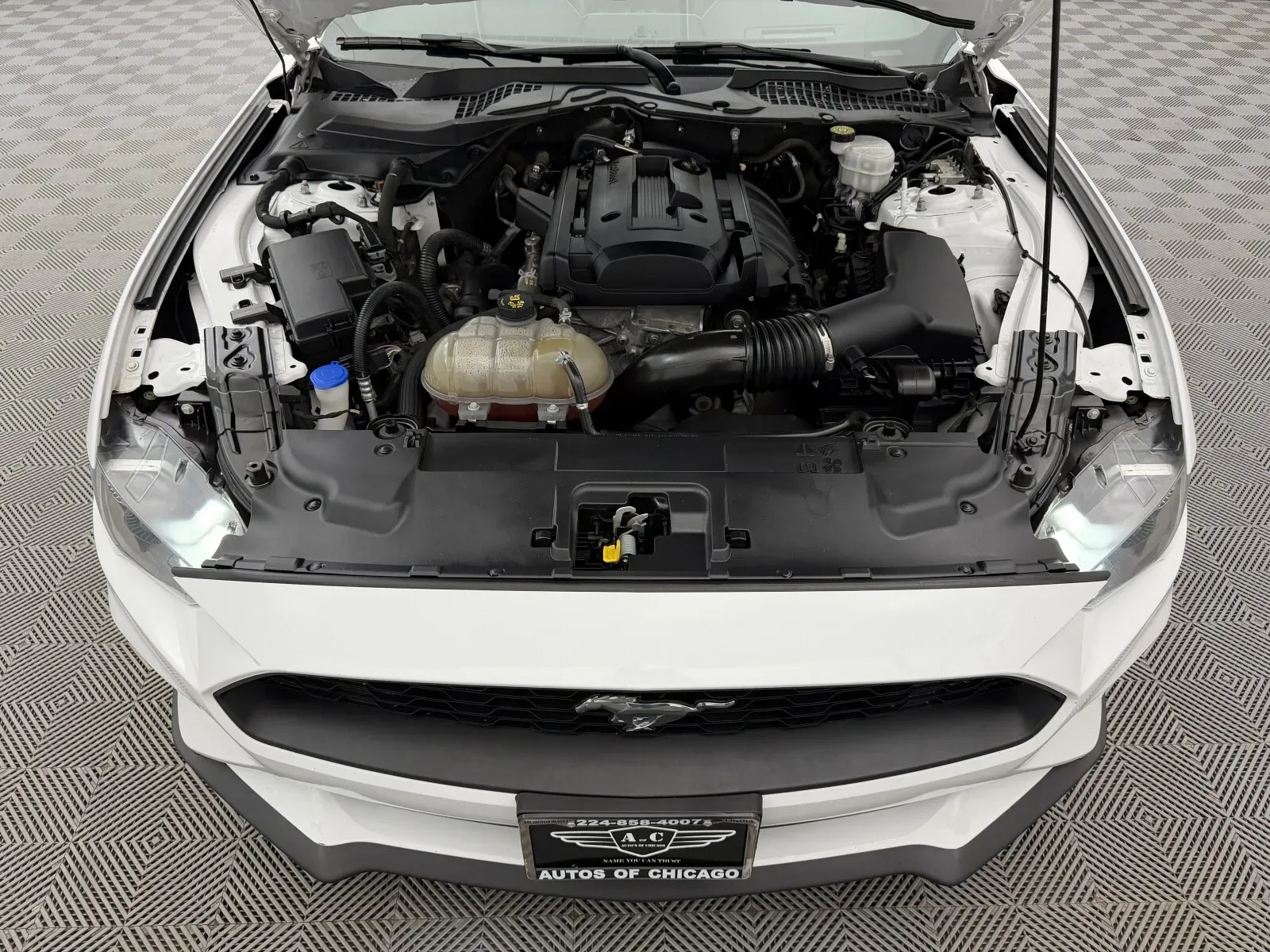 Ford Mustang photo 44