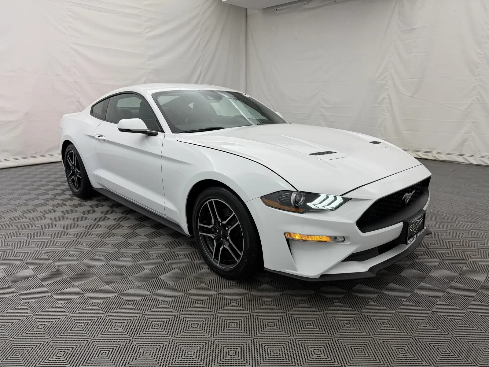 Ford Mustang photo 4