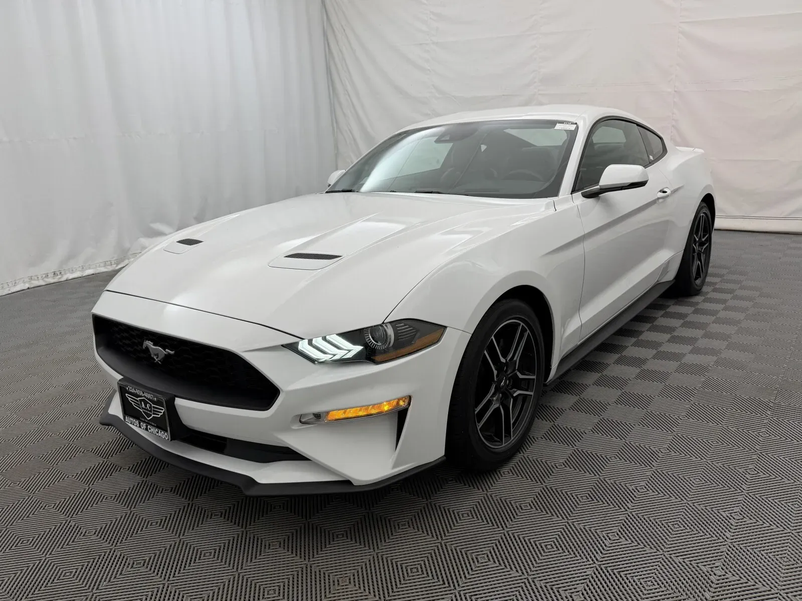 Ford Mustang photo 2
