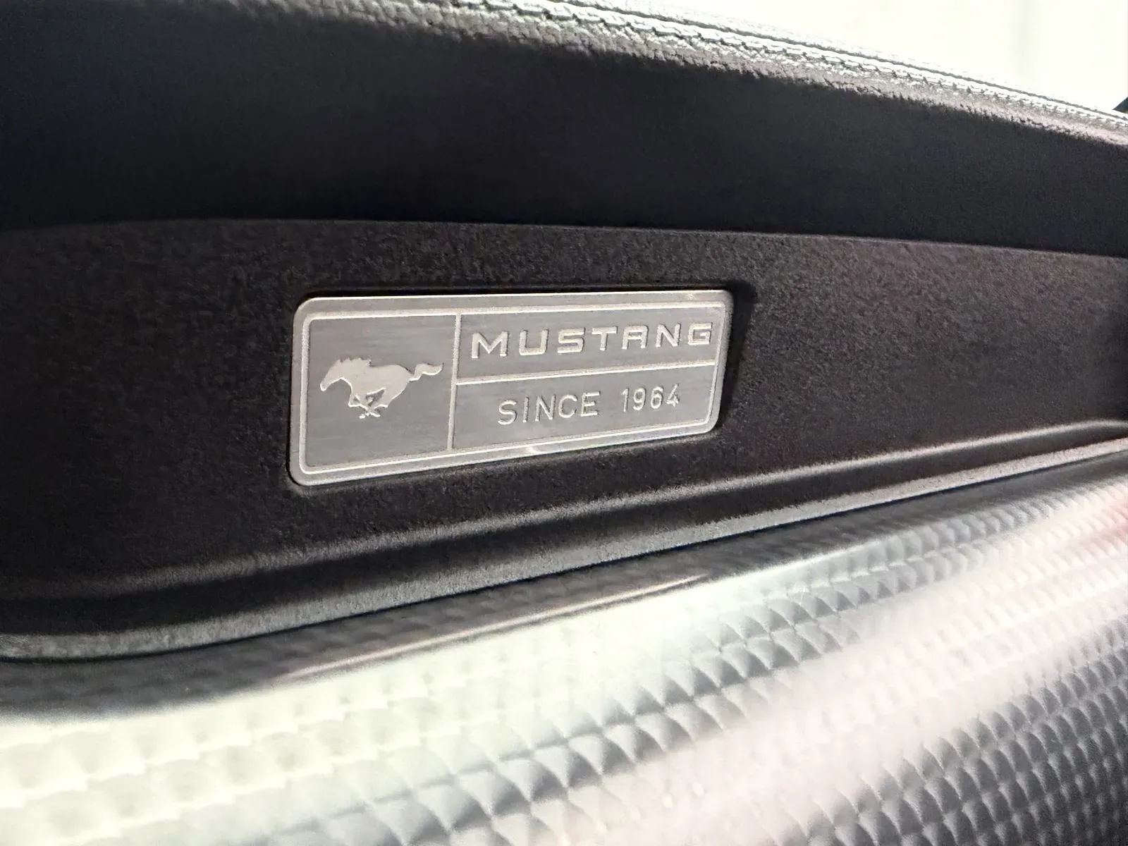 Ford Mustang photo 19