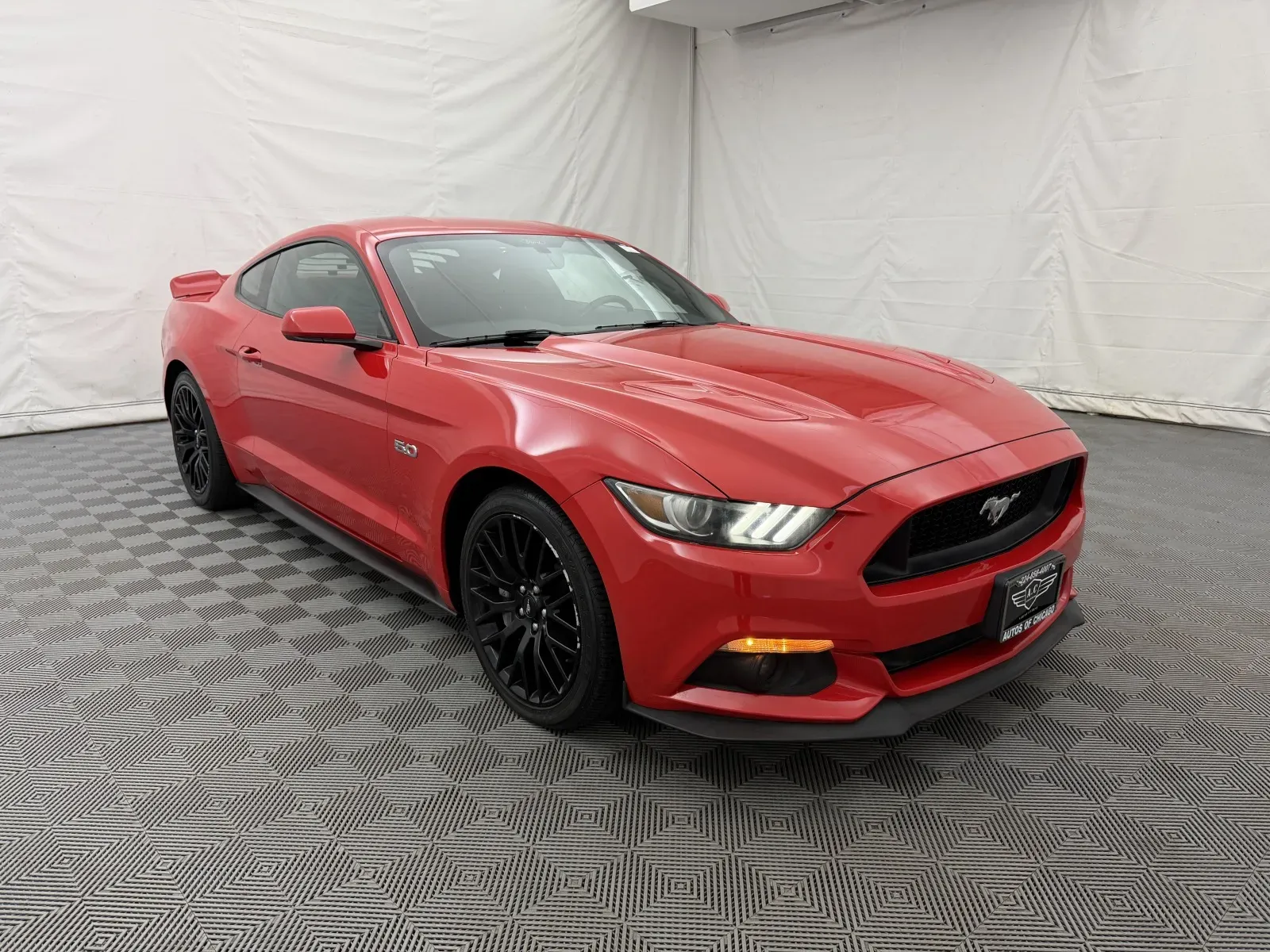 Ford Mustang photo 4