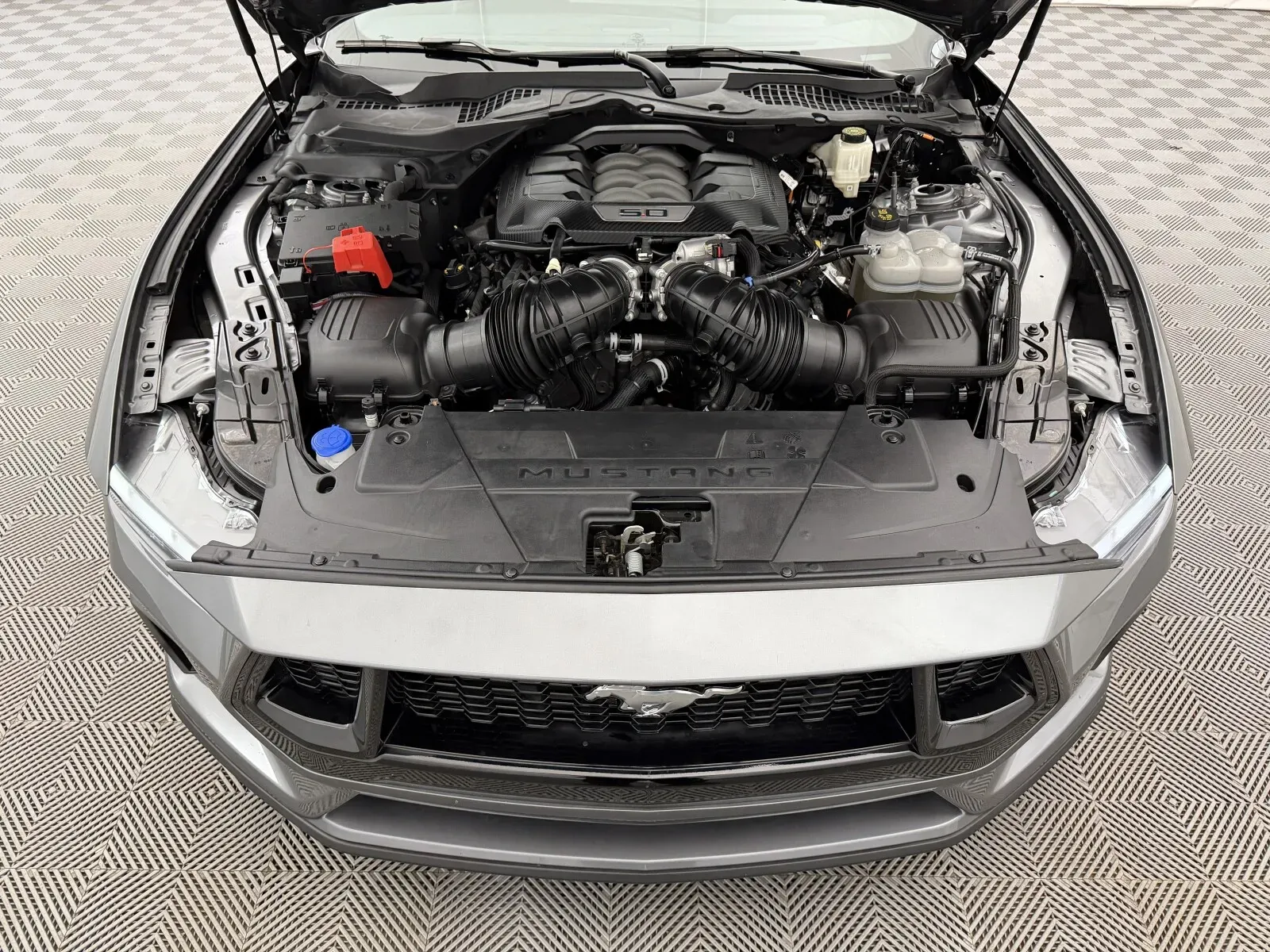 Ford Mustang photo 46