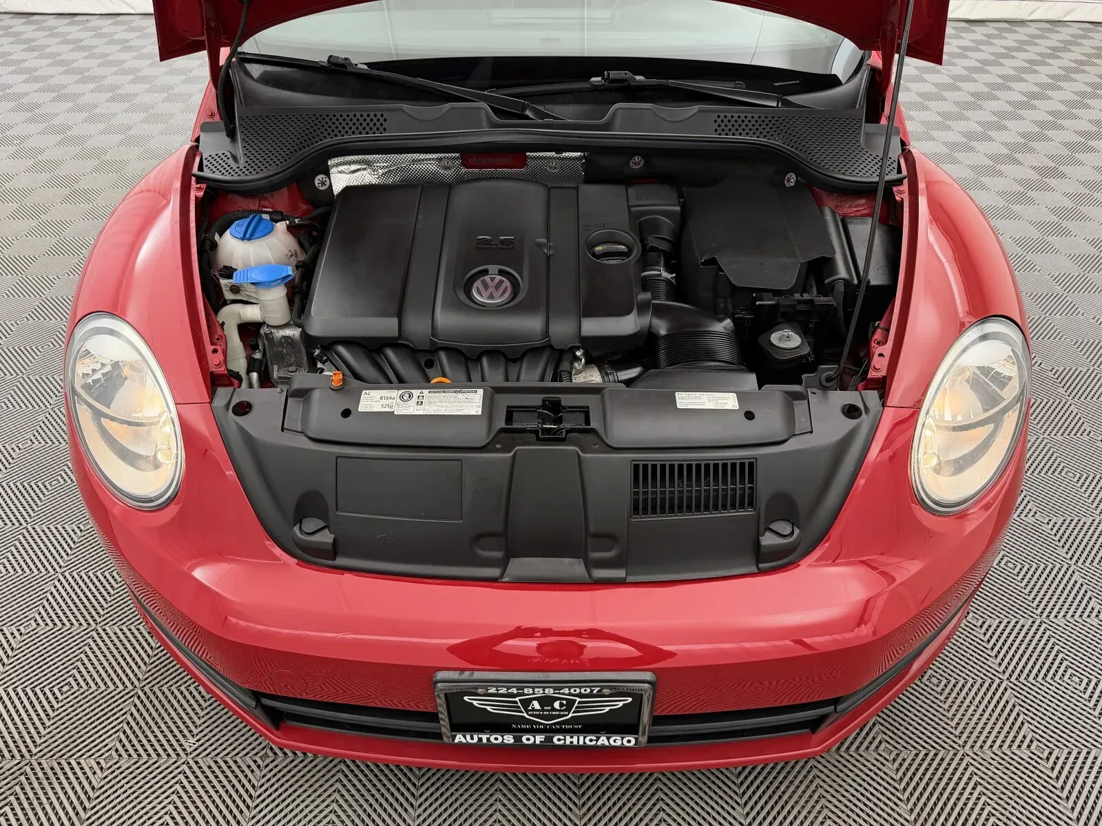 Volkswagen Beetle photo 22