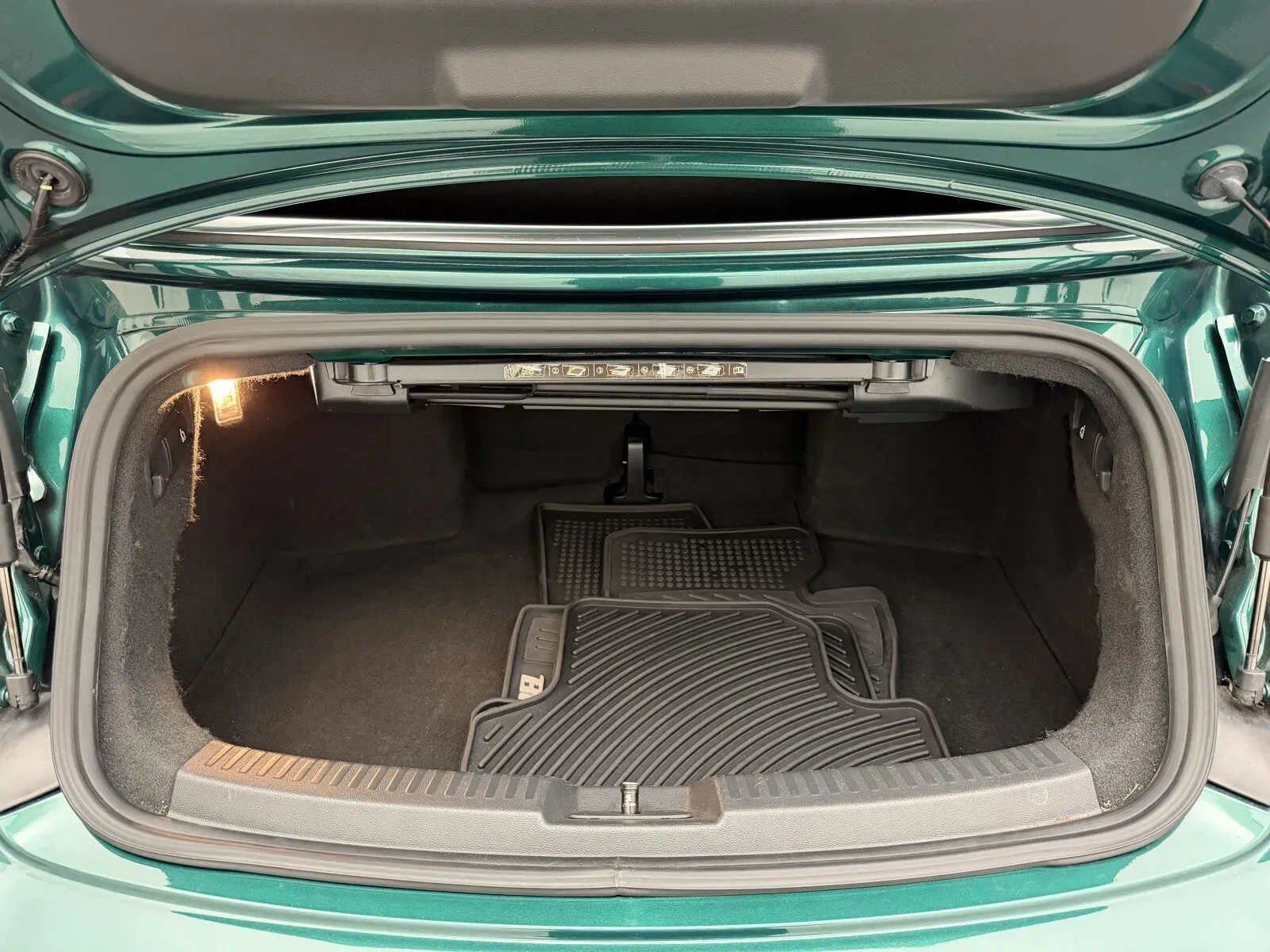 Volkswagen Beetle photo 29