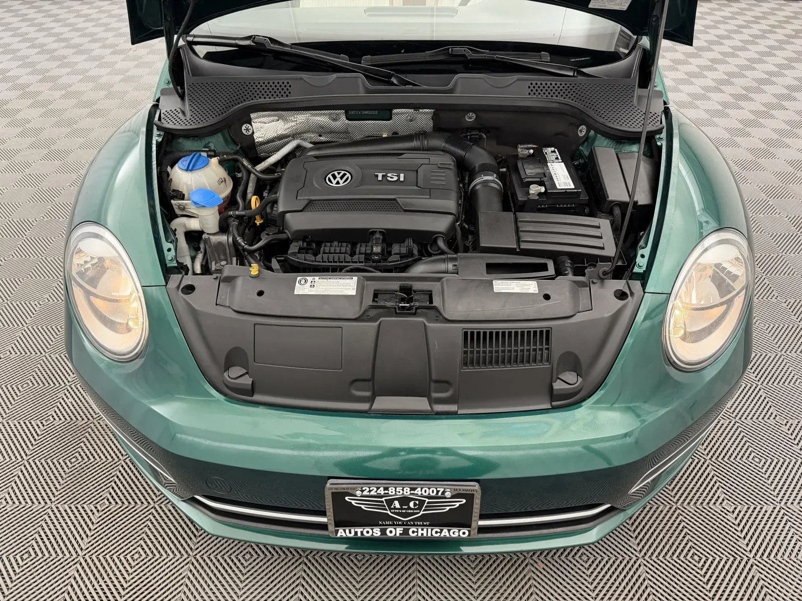 Volkswagen Beetle photo 30
