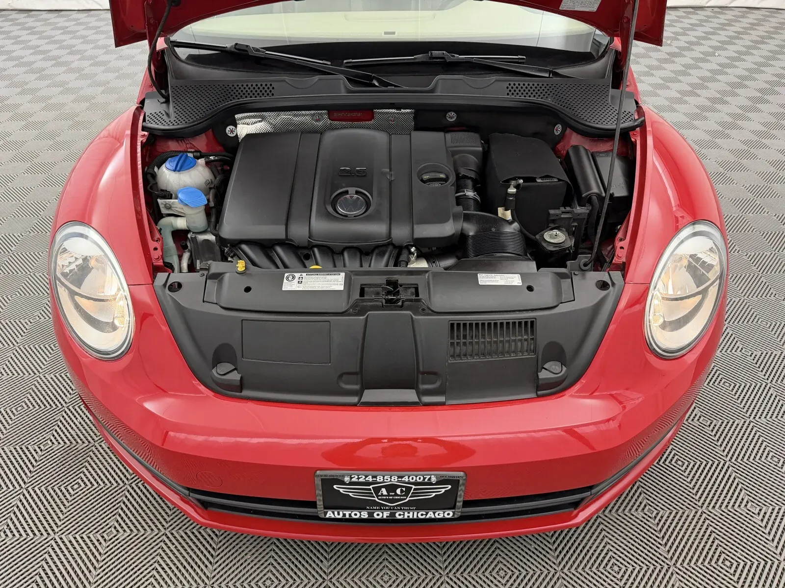 Volkswagen Beetle photo 15