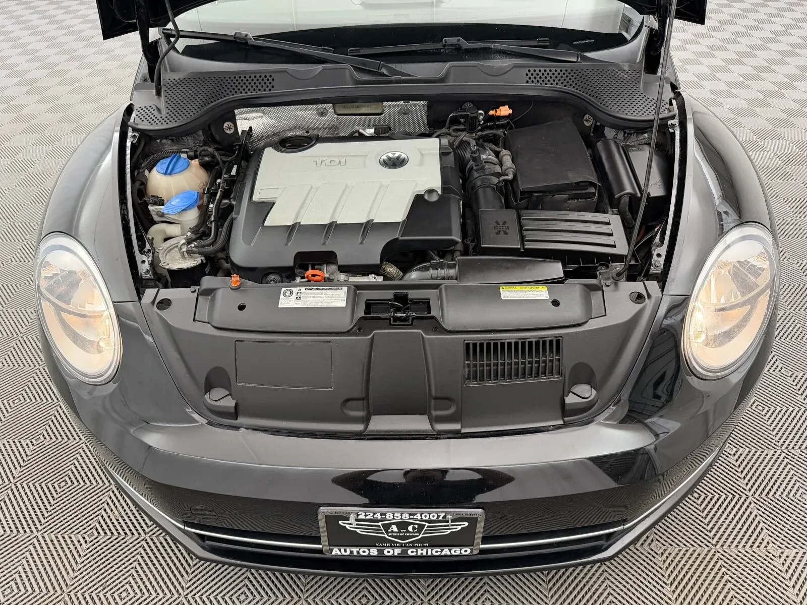 Volkswagen Beetle photo 19