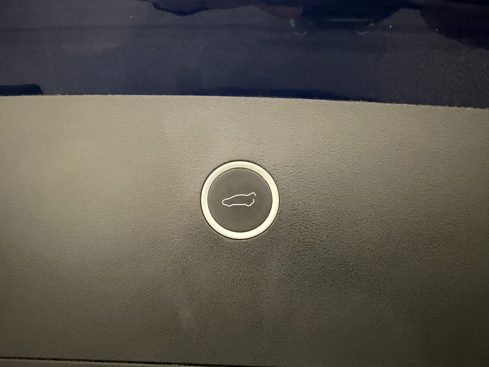 Tesla Model X photo 17