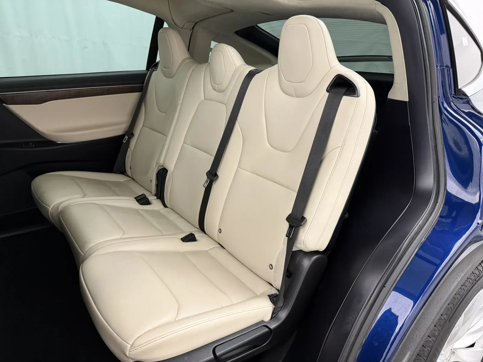 Tesla Model X photo 11