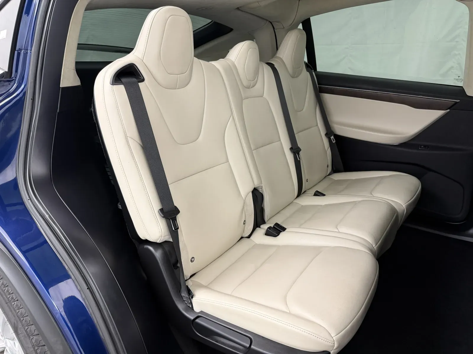 Tesla Model X photo 13