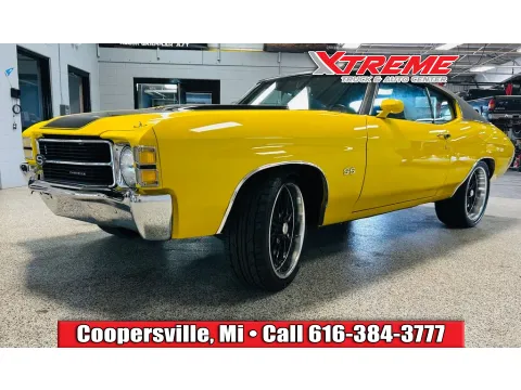 Unknown 1971 Chevrolet Chevelle SS for sale in Coopersville, MI